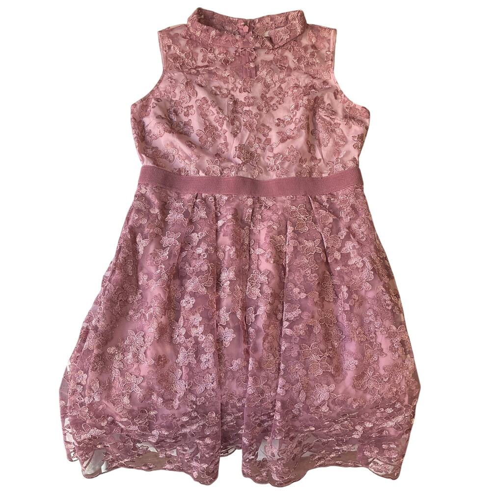 Eva Mendes New York &Co Women Midi Dress XL Pink Floral Embroidery Fit 35” Waist